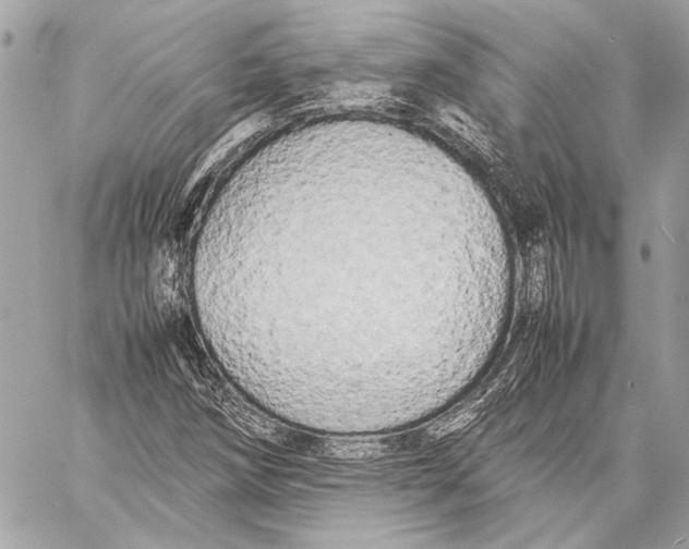 X0000057061258200510071357