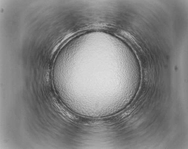 X0000057061260200510071357