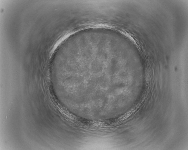 X0000057061263200510071357