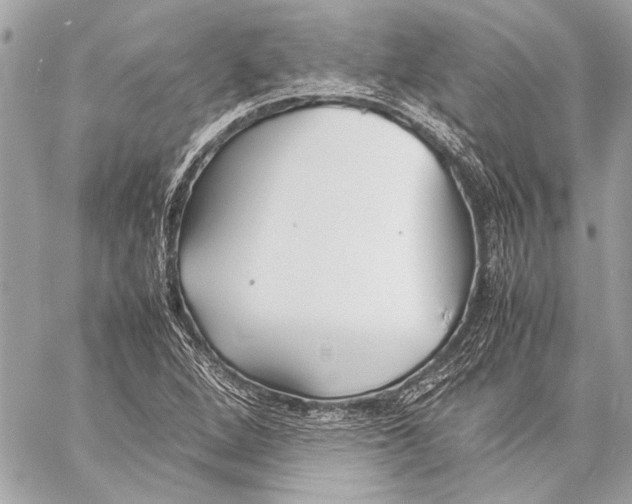 X0000057061264200510071357