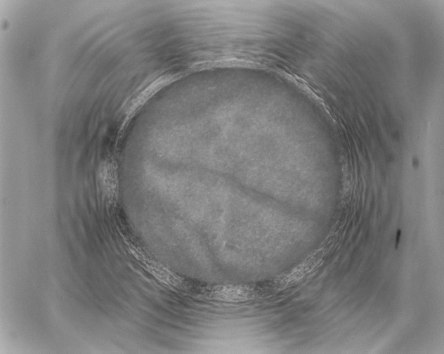 X0000057061266200510071357