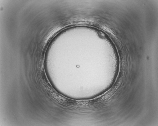 X0000057061267200510071357