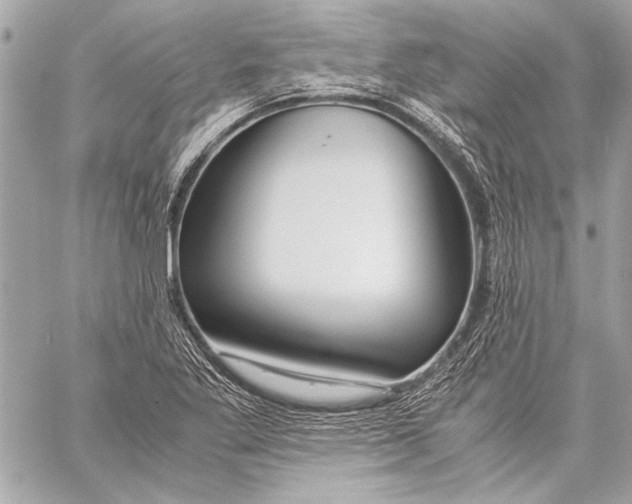 X0000057061269200510071357