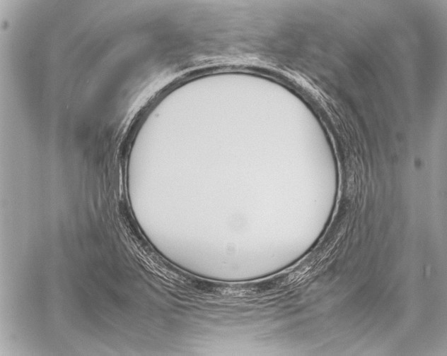 X0000057061271200510071357