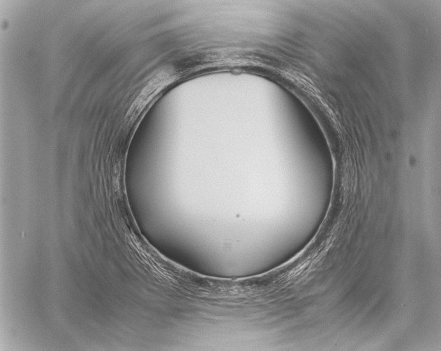 X0000057061273200510071357