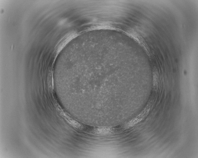 X0000057061274200510071357