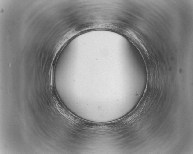 X0000057061276200510071357