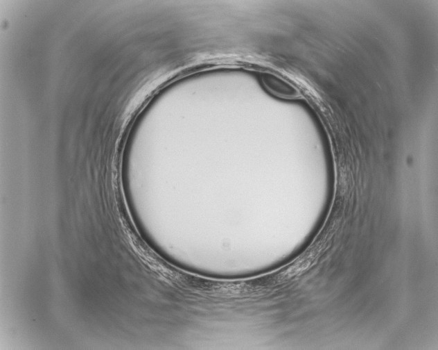 X0000057061279200510071357