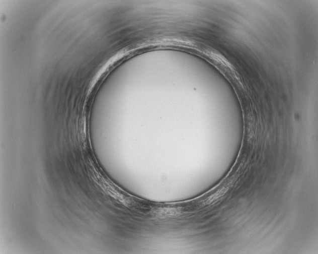 X0000057061280200510071357