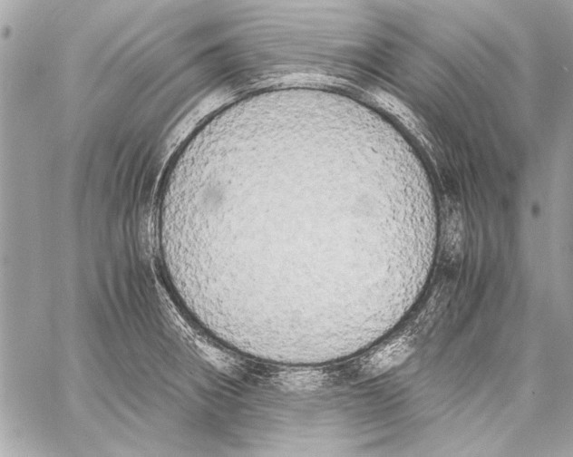 X0000057061282200510071357