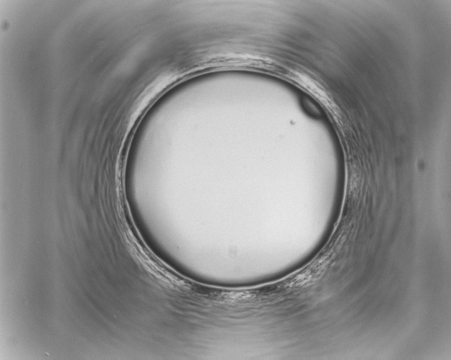 X0000057061283200510071357