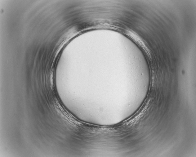 X0000057061284200510071357