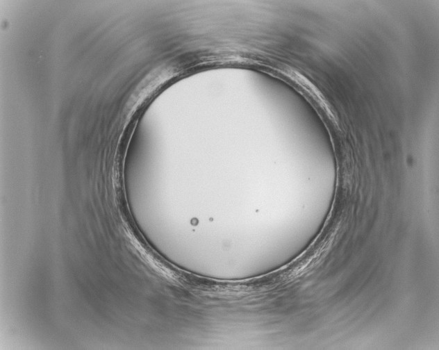 X0000057061285200510071357