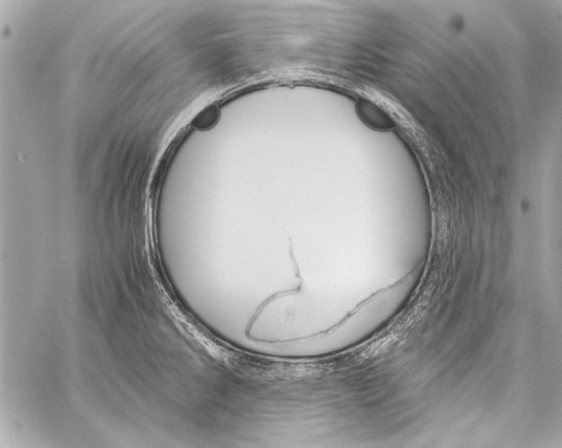 X0000057061286200510071357