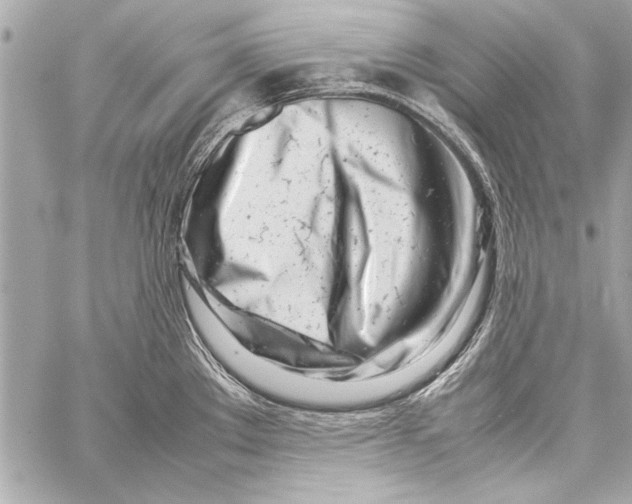 X0000057061289200510071357