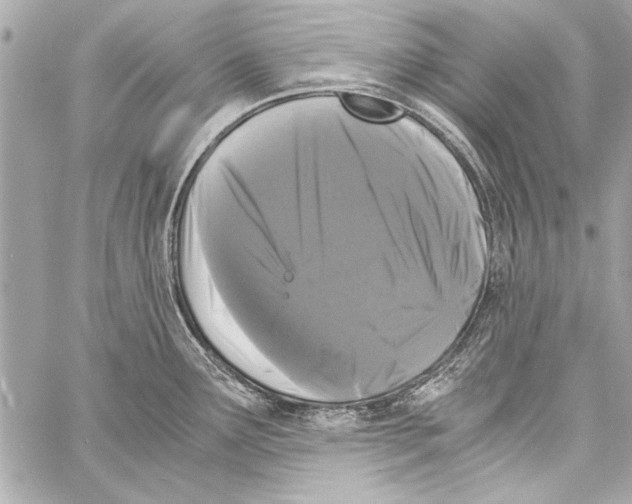 X0000057061291200510071357