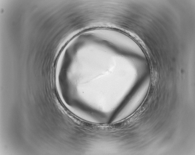 X0000057061295200510071357