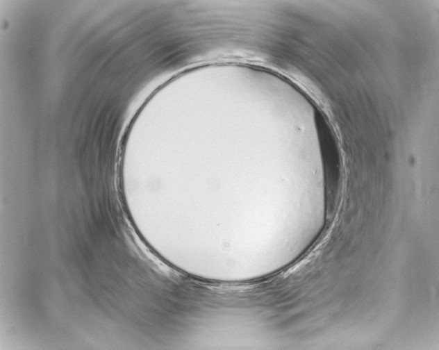 X0000057061296200510071357