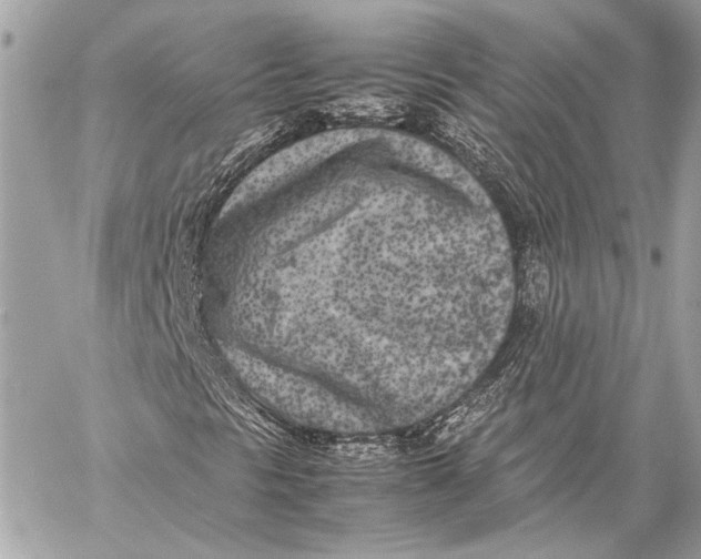 X0000057061297200510071356