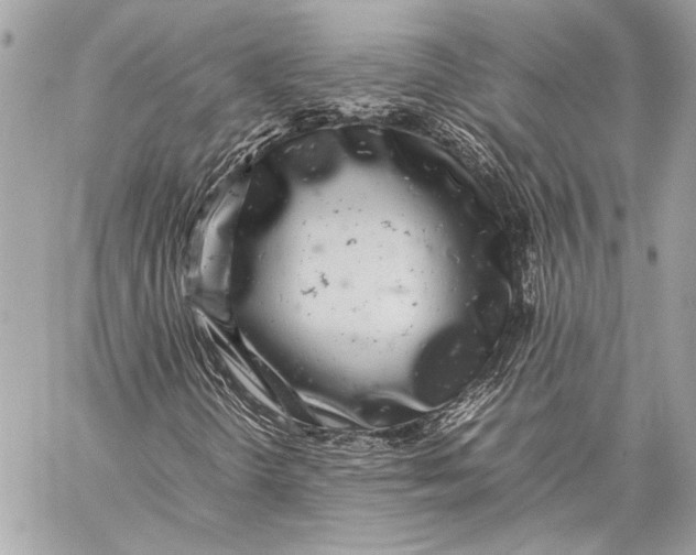 X0000057061298200510071356