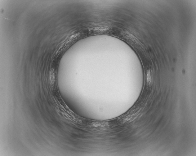 X0000057061299200510071356