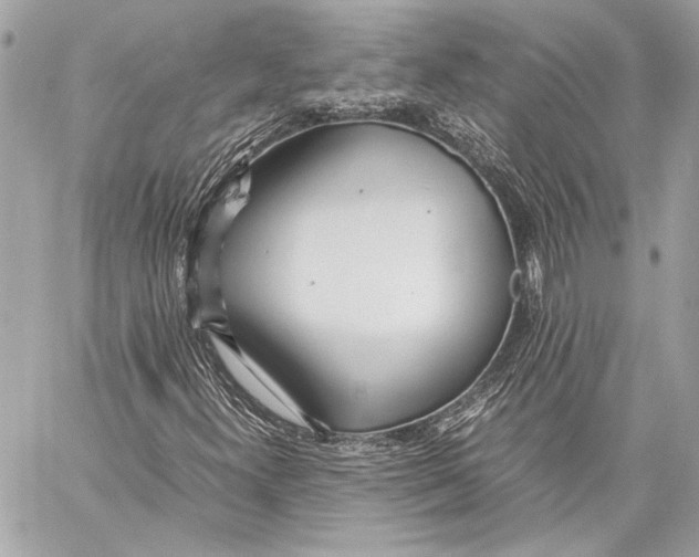 X0000057061300200510071356