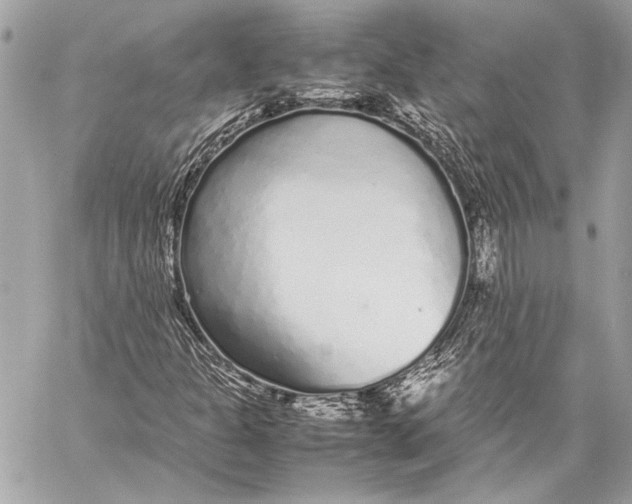 X0000057061301200510071356