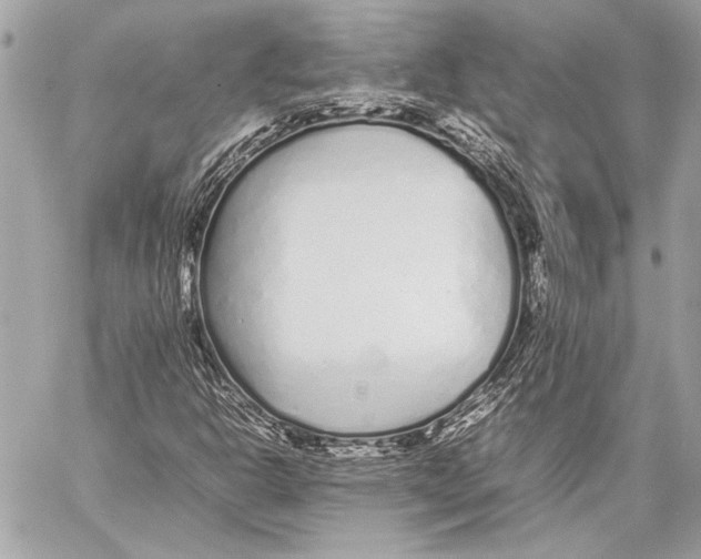 X0000057061302200510071356