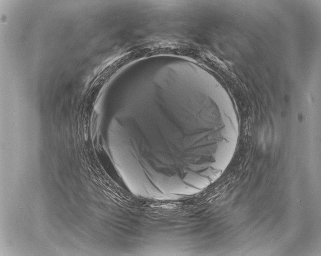 X0000057061303200510071356