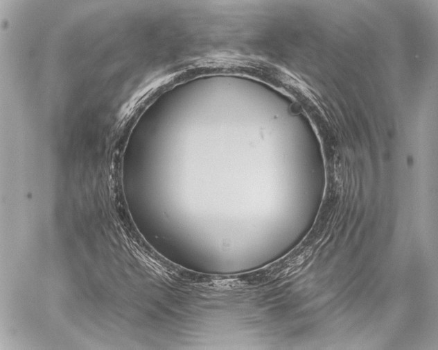 X0000057061304200510071356