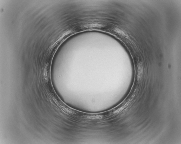 X0000057061305200510071356