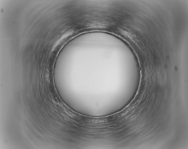 X0000057061307200510071356