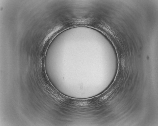 X0000057061309200510071356