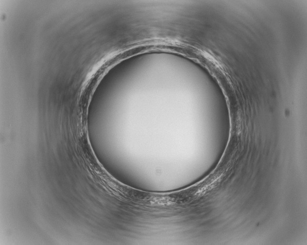 X0000057061310200510071356