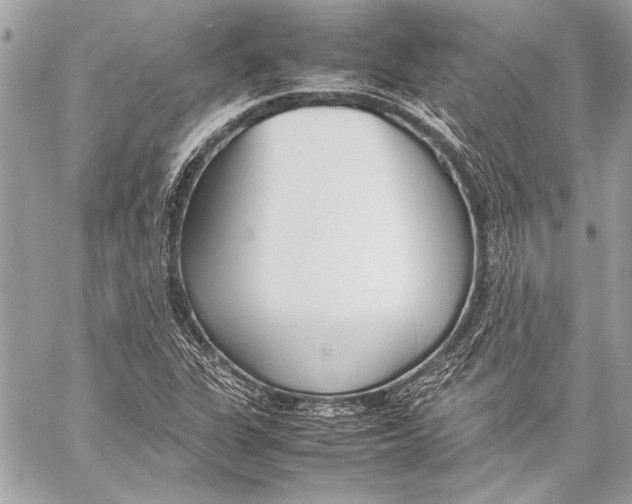 X0000057061311200510071356