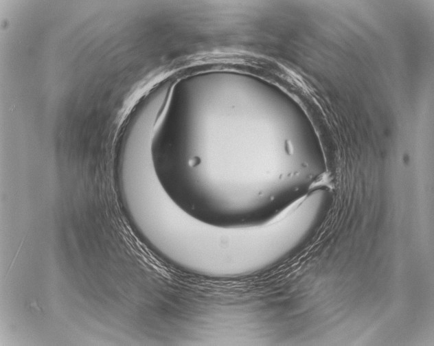 X0000057061312200510071356