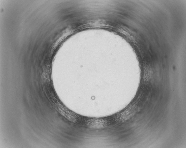 X0000057061314200510071356