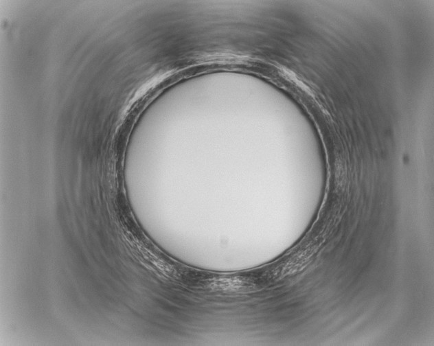 X0000057061315200510071356