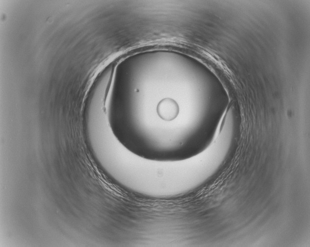 X0000057061316200510071356