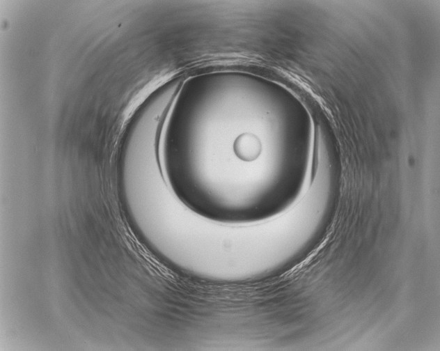 X0000057061317200510071356