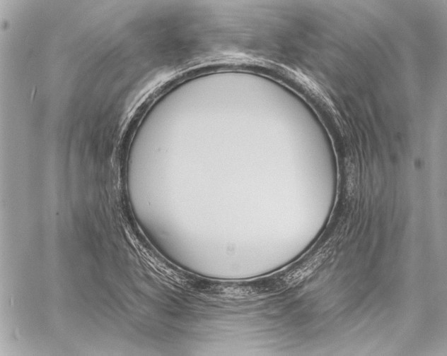 X0000057061318200510071356