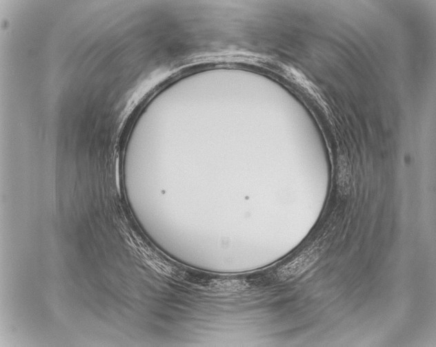 X0000057061320200510071356