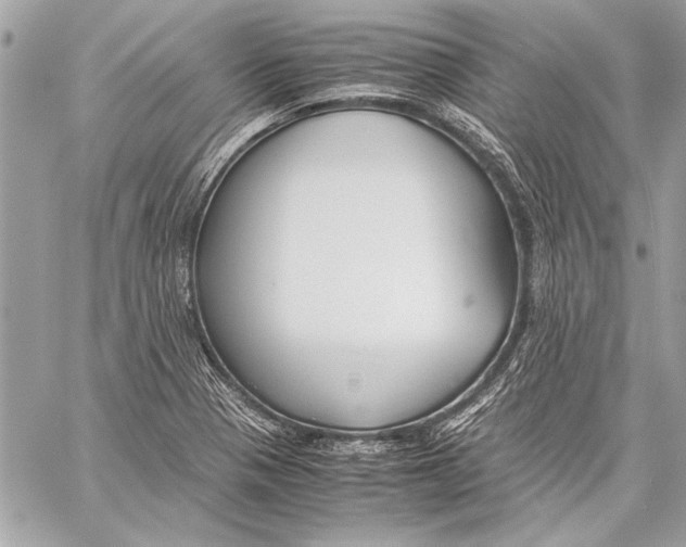 X0000057061321200510071356