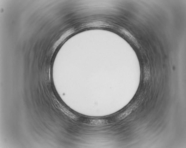 X0000057061322200510071356