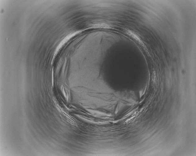 X0000057061323200510071356