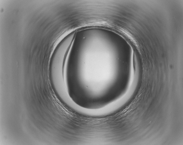 X0000057061324200510071356