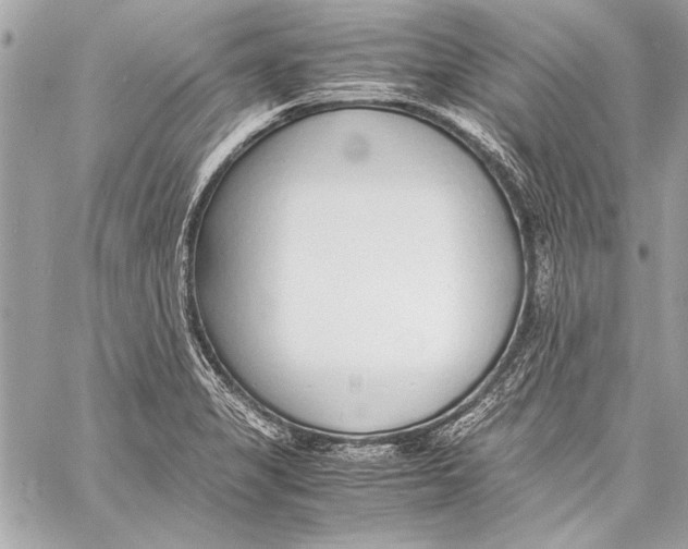 X0000057061325200510071356