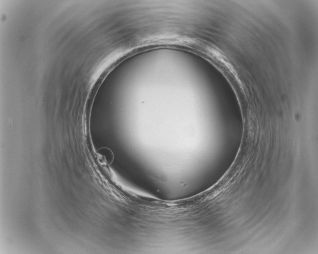 X0000057061328200510071356