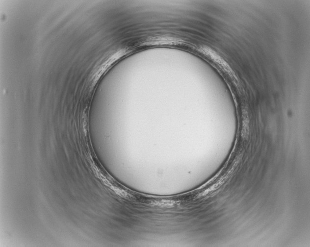 X0000057061329200510071356