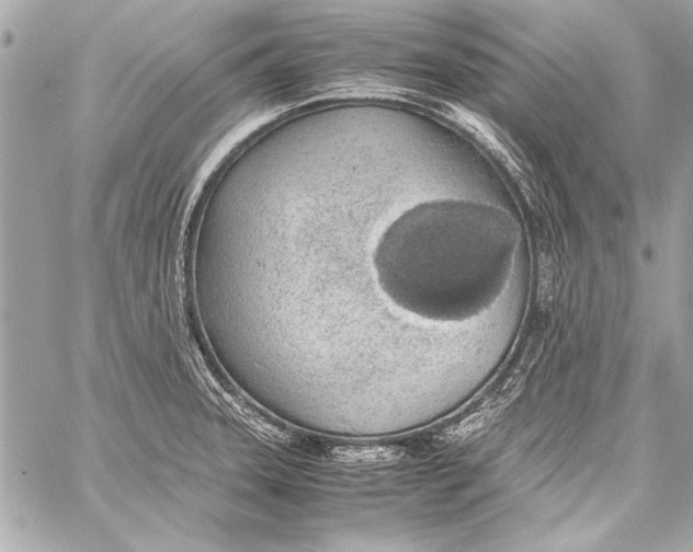 X0000057061331200510071356